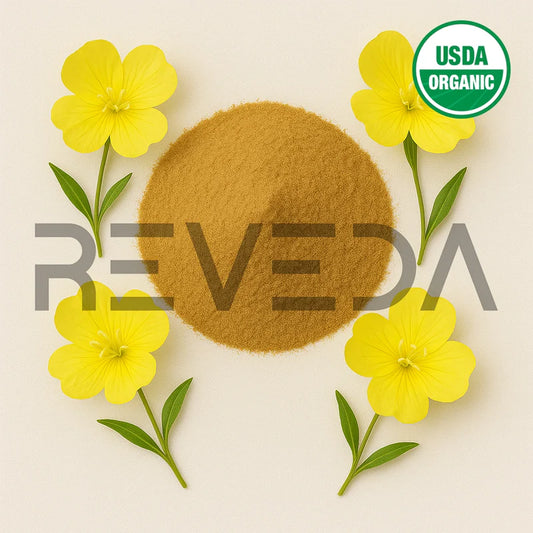 Evening-Primrose Extract Powder