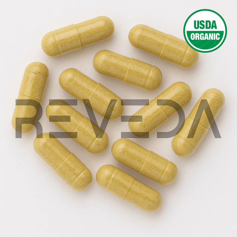 Fennel Seed Capsules