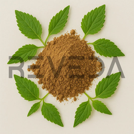 Figwort Powder
