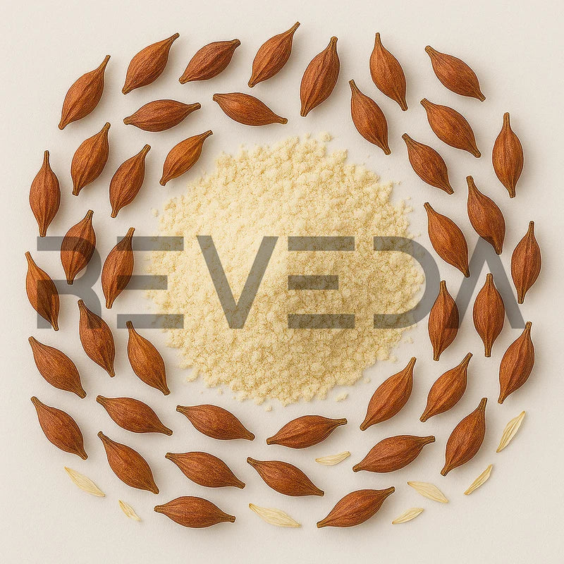 Forsythia Fruit Powder