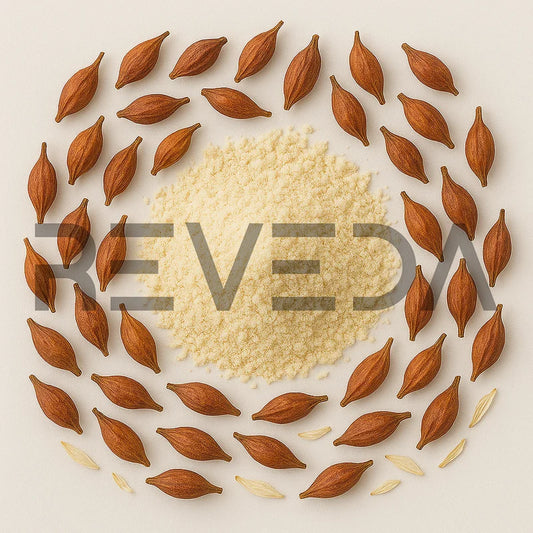 Forsythia Fruit Powder