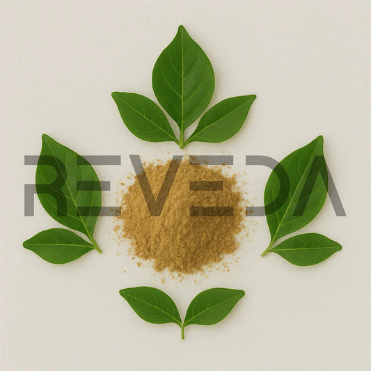 Gambhari Powder