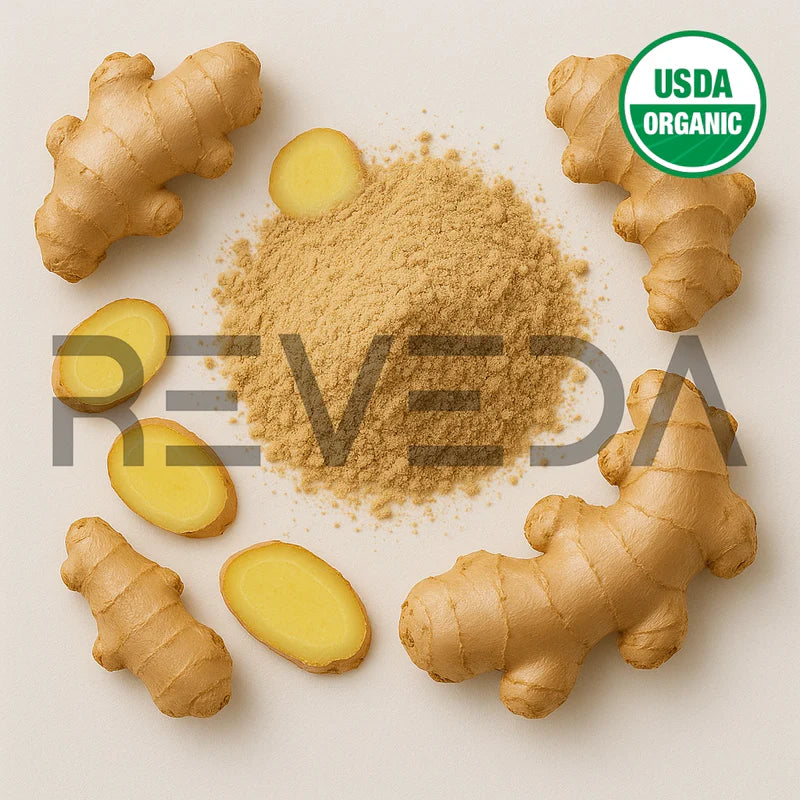 Ginger Extract Powder