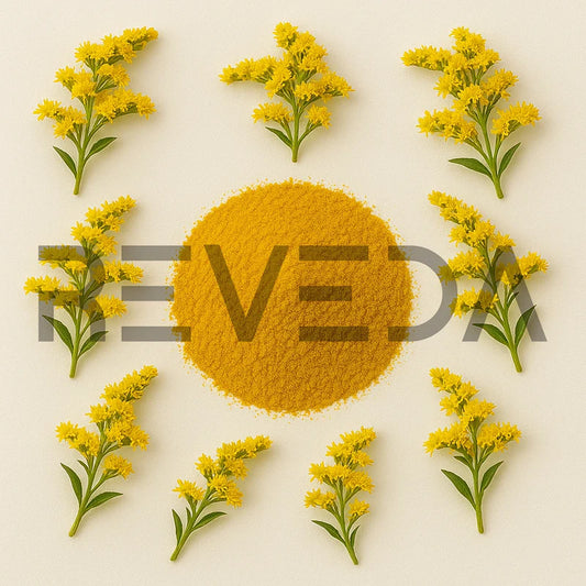 Gloden Rod Extract Powder