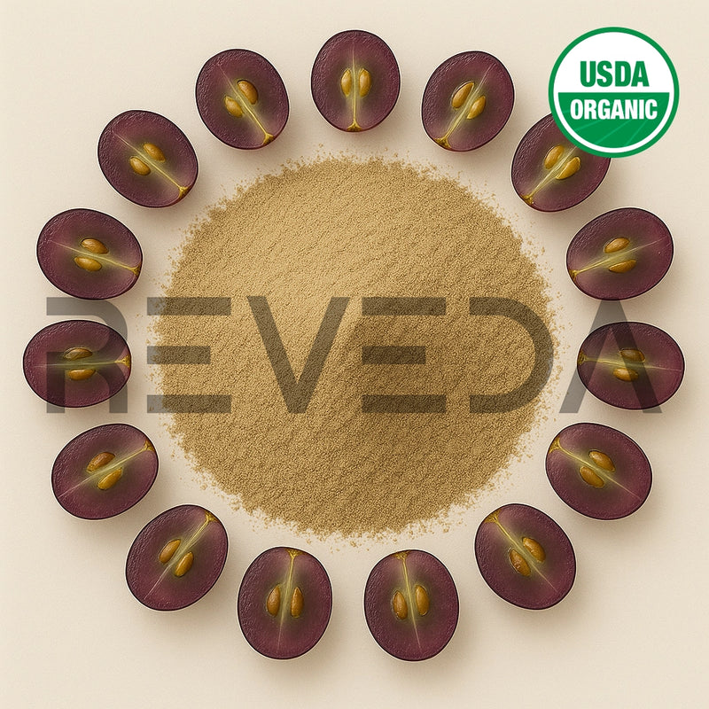 Grape Seed Extract Powder