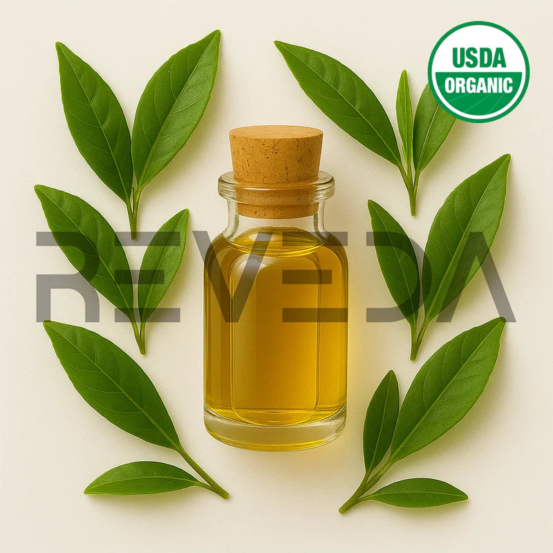 Green Tea Essential Oil