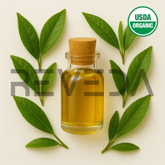 Green Tea Essential Oil