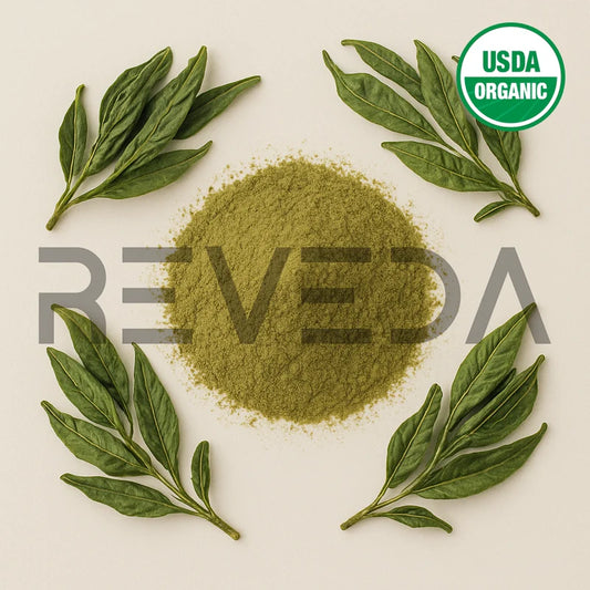 Green Tea Leaves Extract Powder