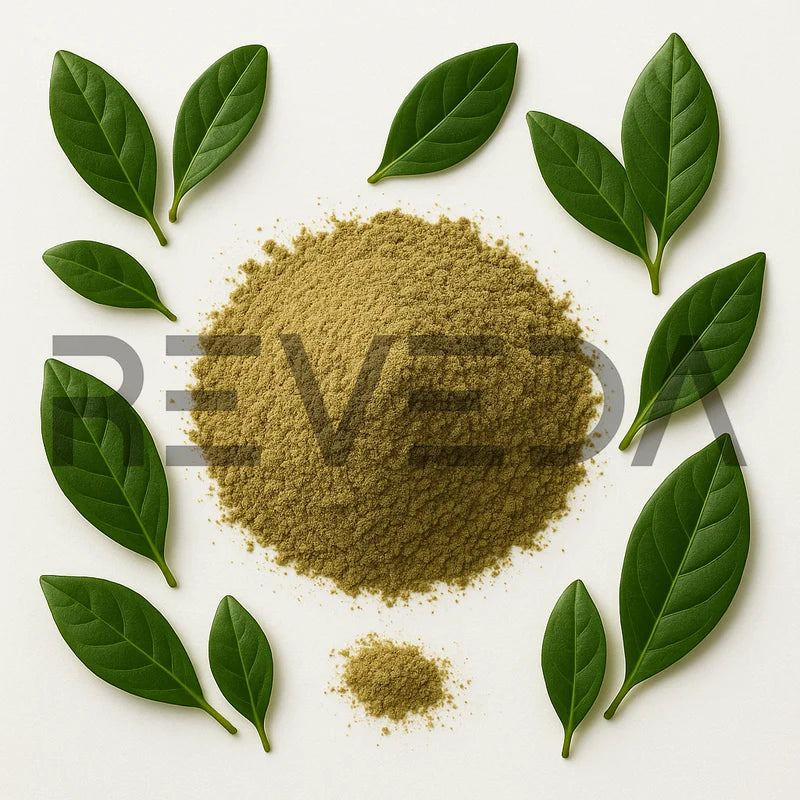 Guayusa Extract Powder