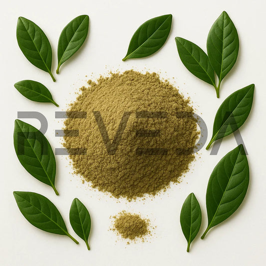 Guayusa Extract Powder