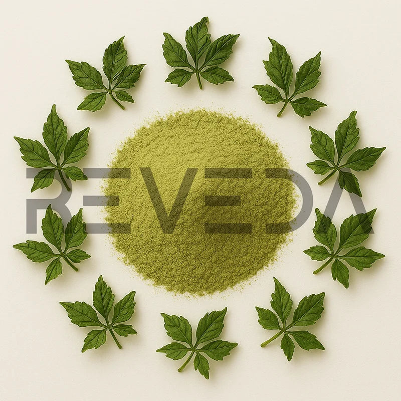 Gynostemma Powder