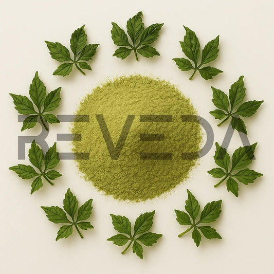 Gynostemma Powder