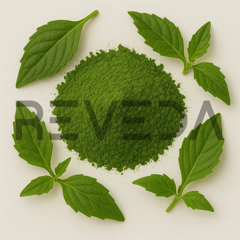Gynura Procumbens Powder