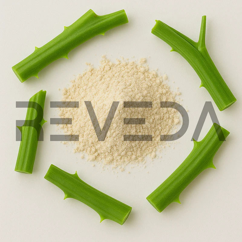 Hadjod Extract Powder