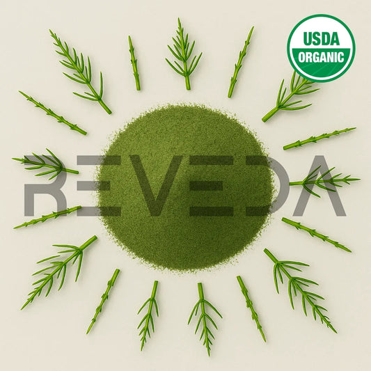 Horsetail Extract Powder