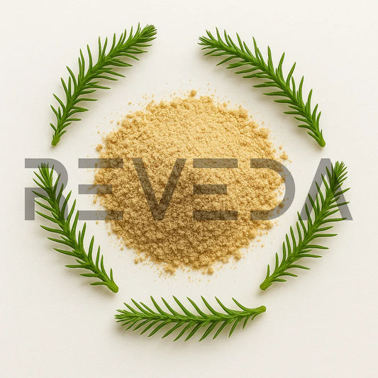 Huperzia Serrata Extract Powder 1% Huperzine-A