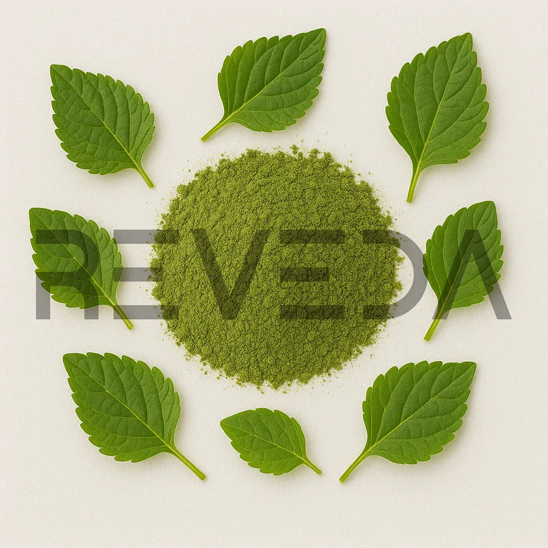 Indian Acalypha Powder