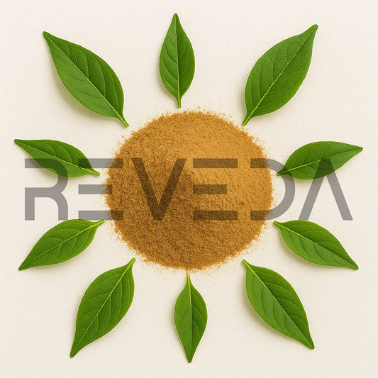 Java Tea Powder
