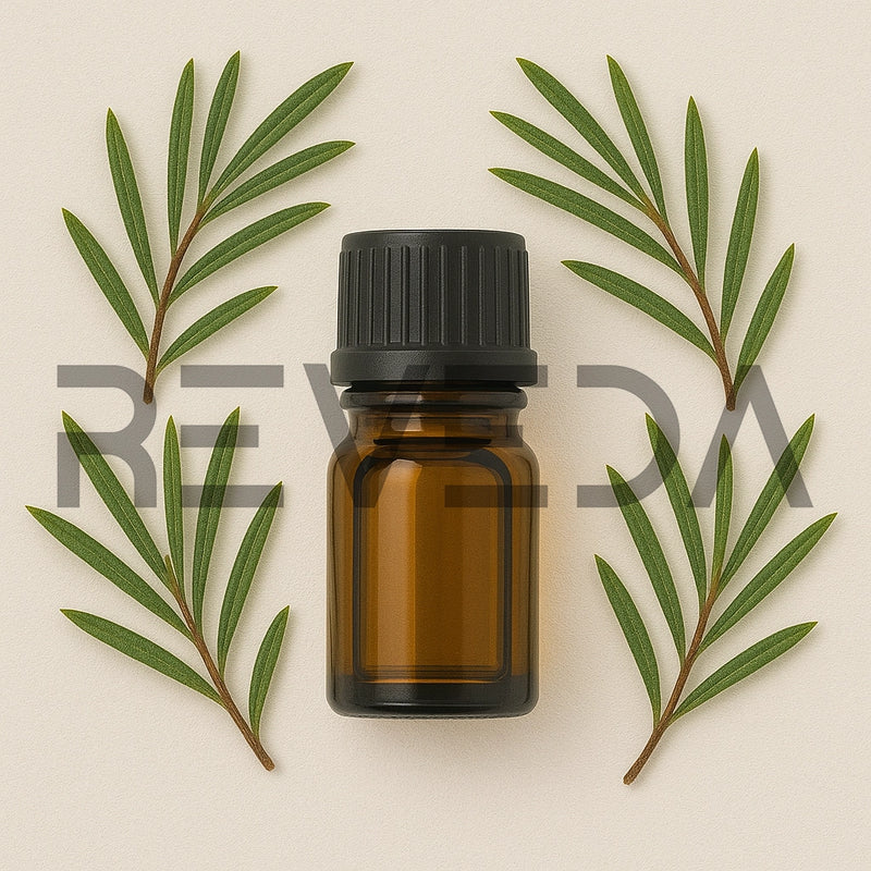 Kanuka Essential Oil