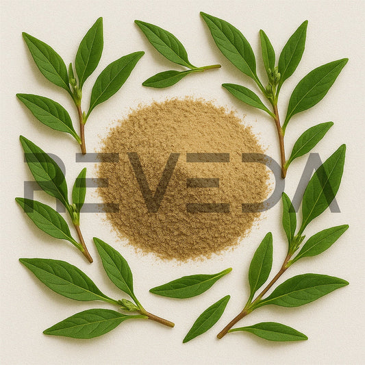 Knotgrass Powder