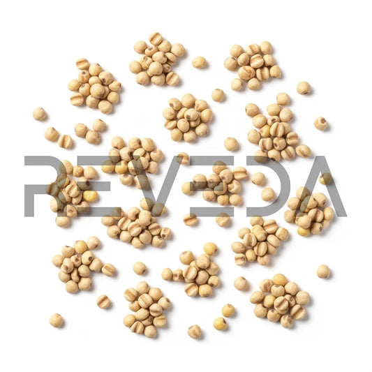 Kodo Millet Seeds