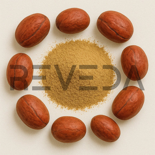 Kola Nut Extract Powder
