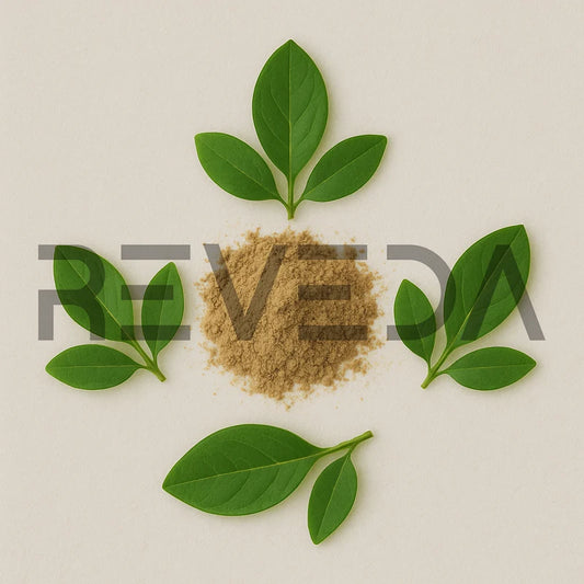 Kurchi Powder