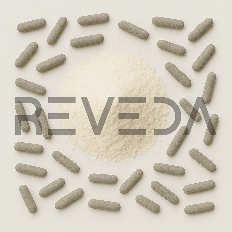 Lactobacillus Casei Probiotic Powder (Candida Support)