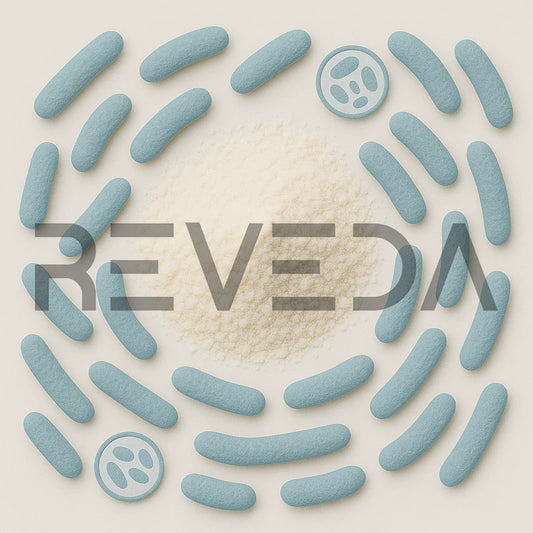 Lactobacillus Helveticus Probiotic Powder