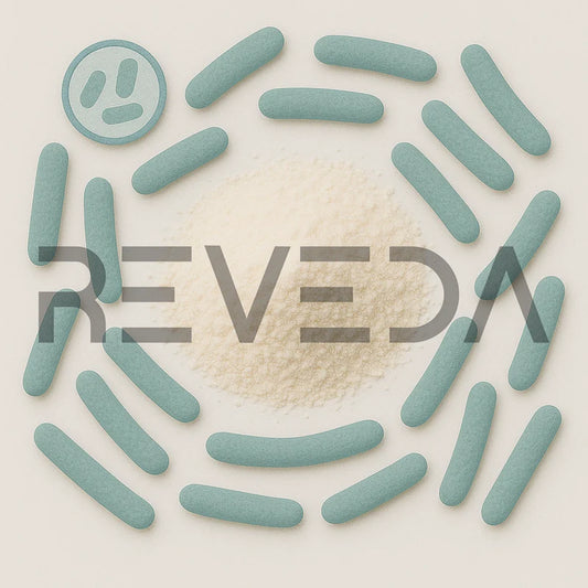 Lactobacillus Reuteri Probiotic Powder