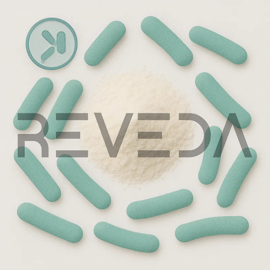 Lactobacillus Salivarius Probiotic Powder