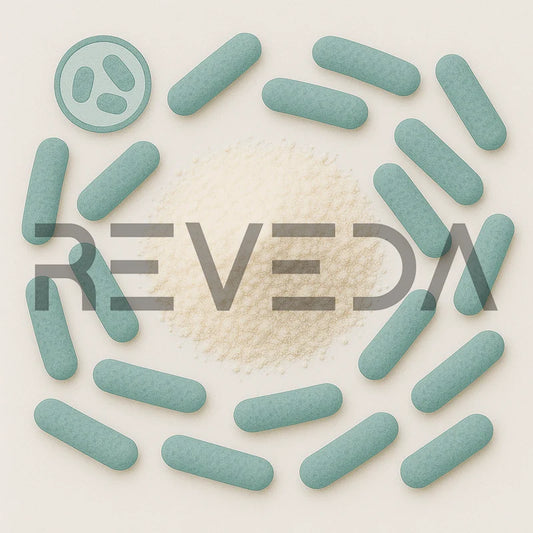 Leuconostoc Mesenteroides Probiotic Powder (Uric Acid & Gout Support)