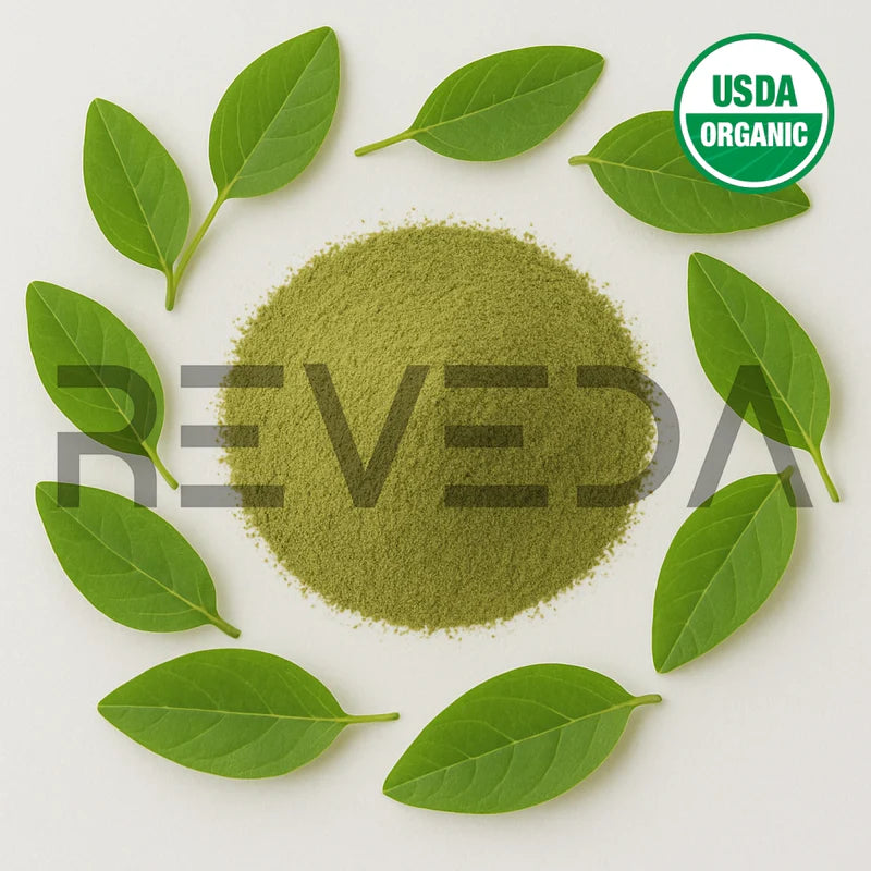 Licorice Leaf Extract Powder