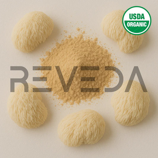 Lion's Mane Extract Powder