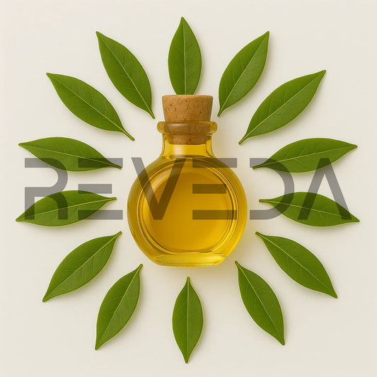Litsea Essential Oil
