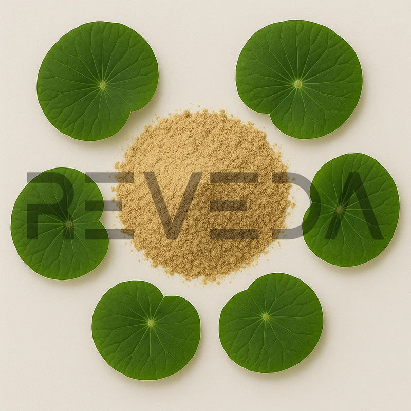 Lotus Leaf Extract Powder
