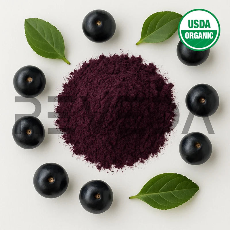 Berry Powder Man Maqui Berry Powder Bulk Wholesale B2B Suppliers – Reveda.Co