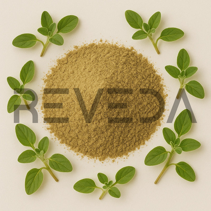 Marjoram Powder