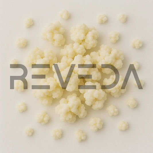 Milk Kefir Grains
