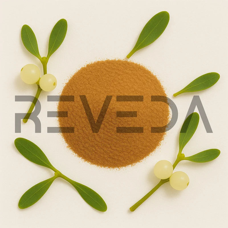 Mistletoe Extract Powder