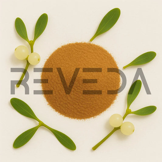 Mistletoe Extract Powder