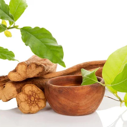 Psychotria Viridis Powder | Chacruna | Amiruca Panga