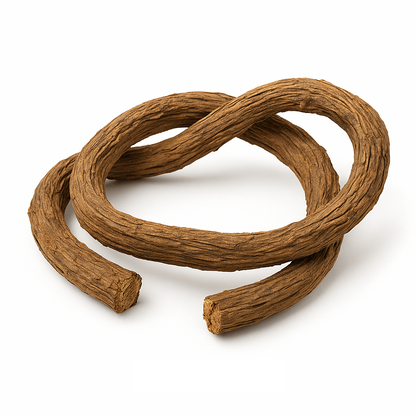 Banisteriopsis Caapi | Vine of the Souls | Aya Powder