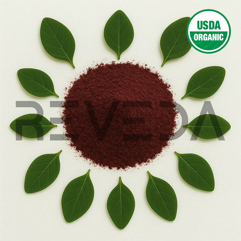 Moringa Henna Powder Burgundy Color