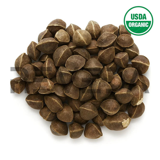 Moringa Seeds Wingless