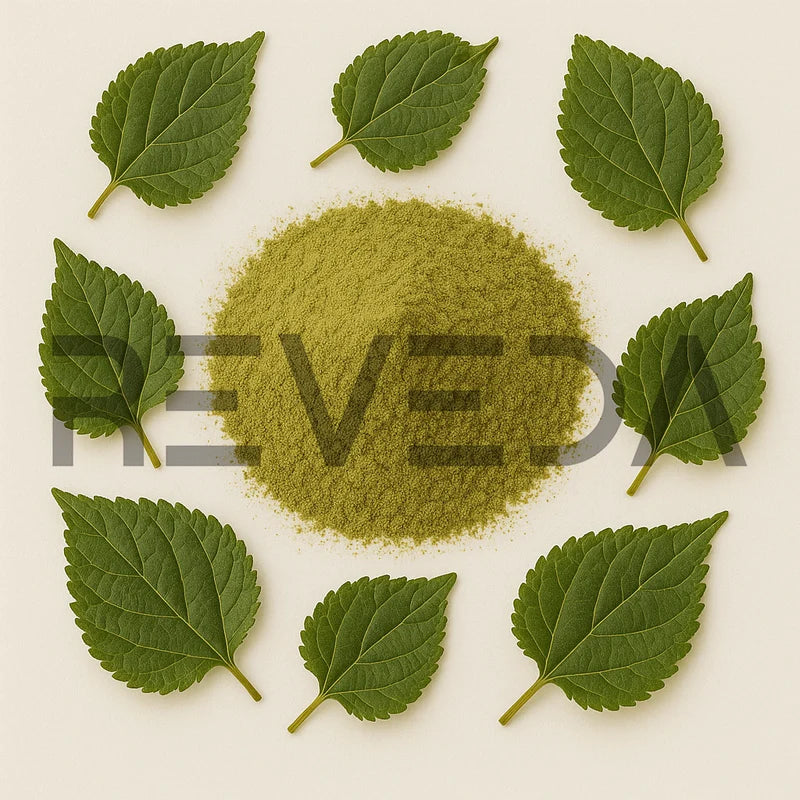 Mulberry Leaf Extract Powder