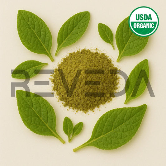 Mullein Leaf Extract Powder