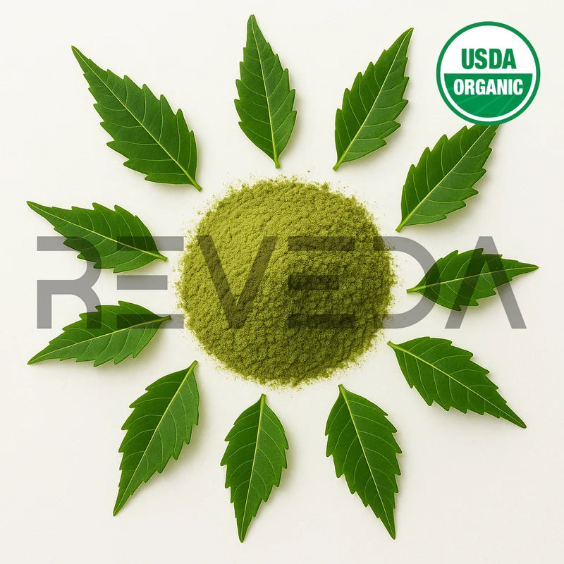 Neem Leaf Extract Powder