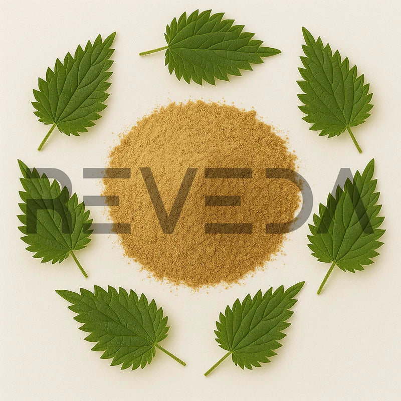 Nettle Extract Powder