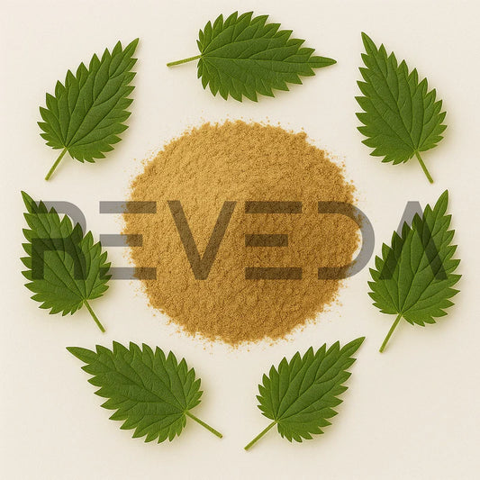 Nettle Extract Powder